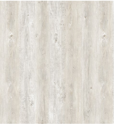 Image Alt Text